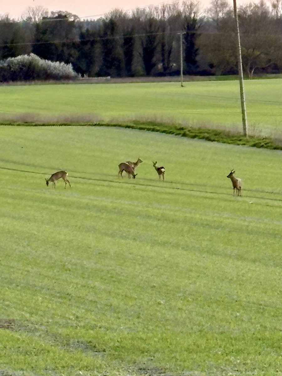 Andrea Anderson tweet media