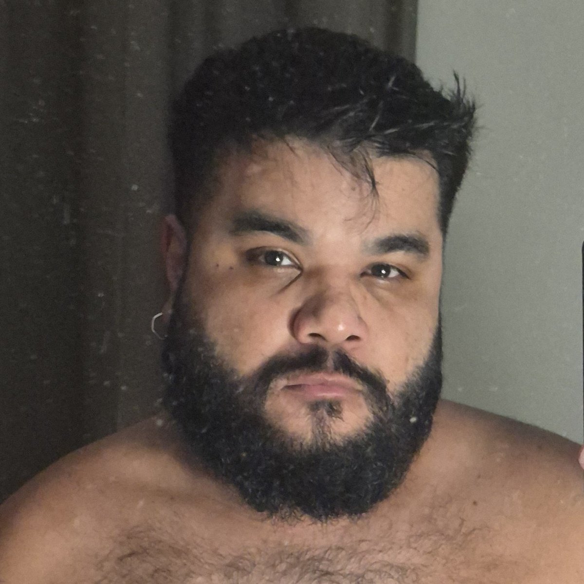 Pocket Urso 🐻 tweet media