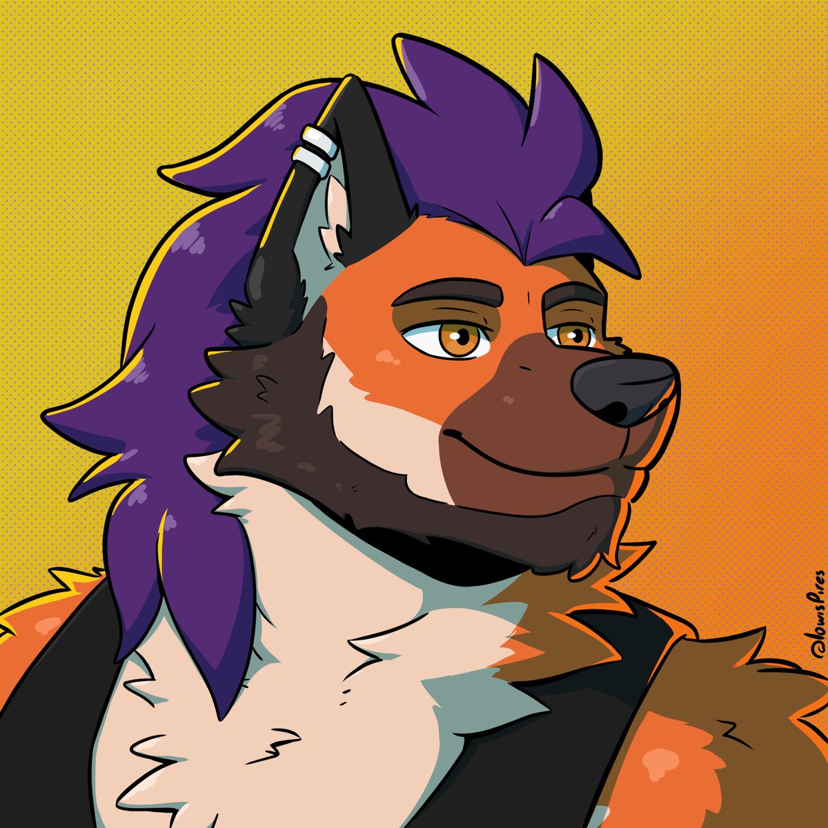 Pocket Urso 🐻 tweet media