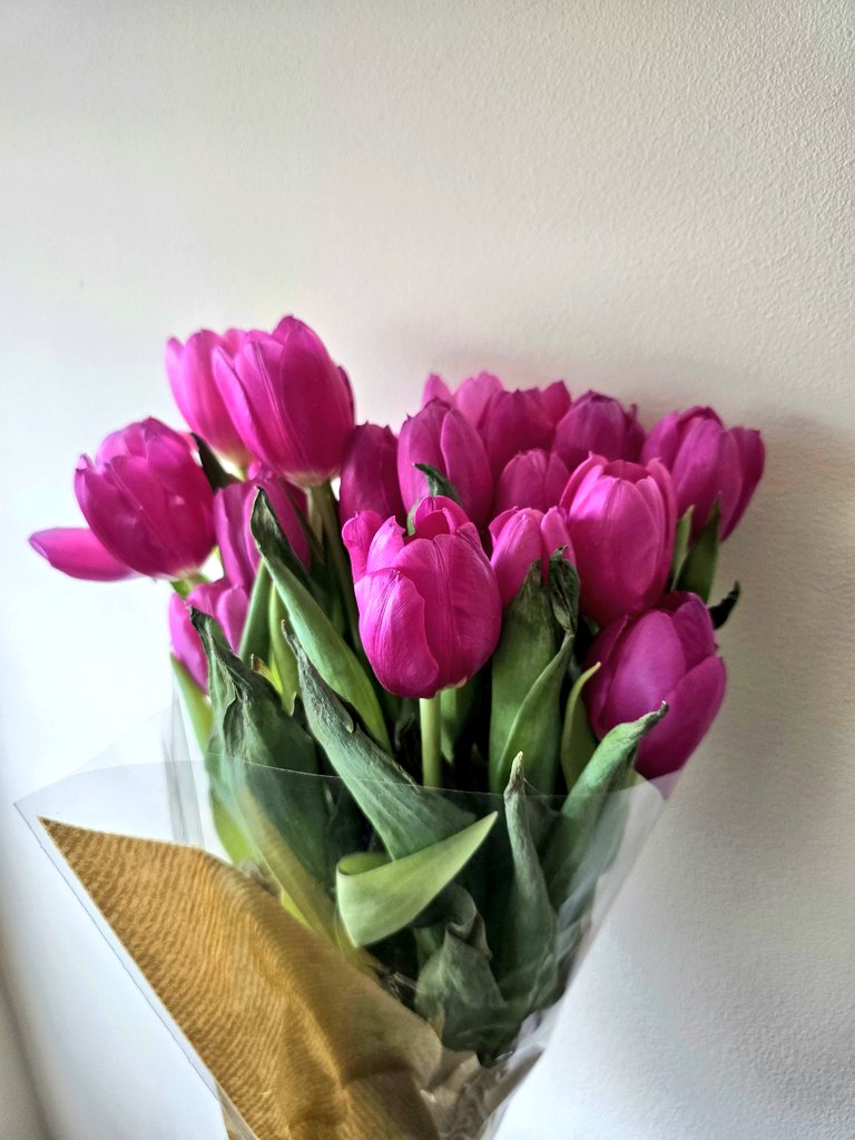 Papaya Blonde® tweet media