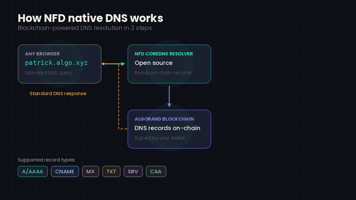 NFDomains.algo tweet media