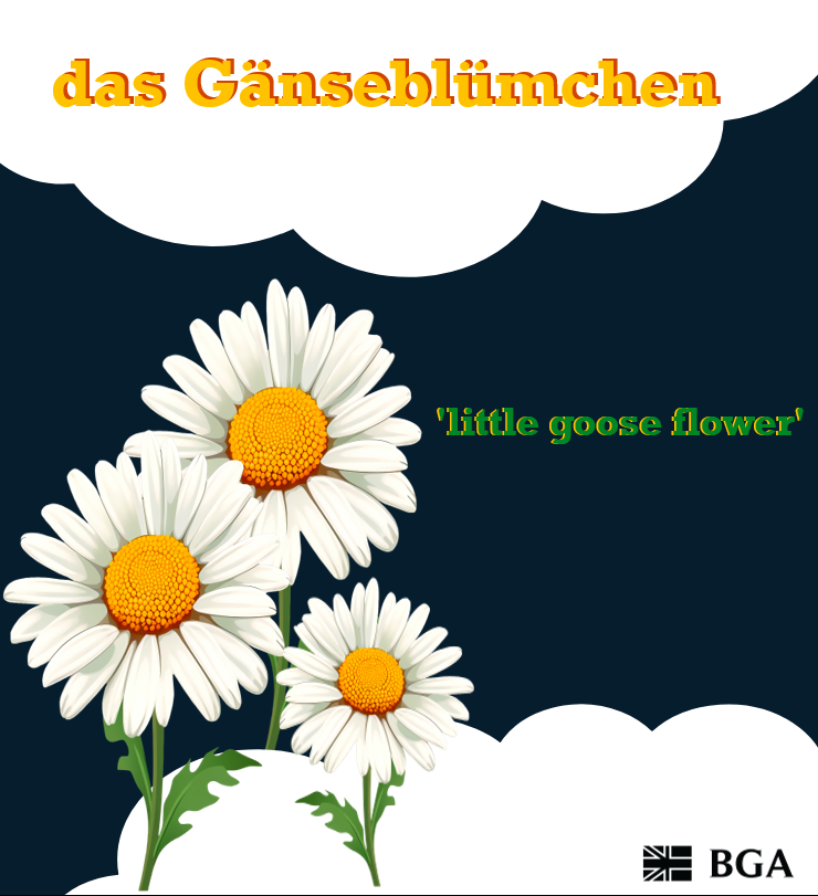 British-German Association (BGA) tweet media