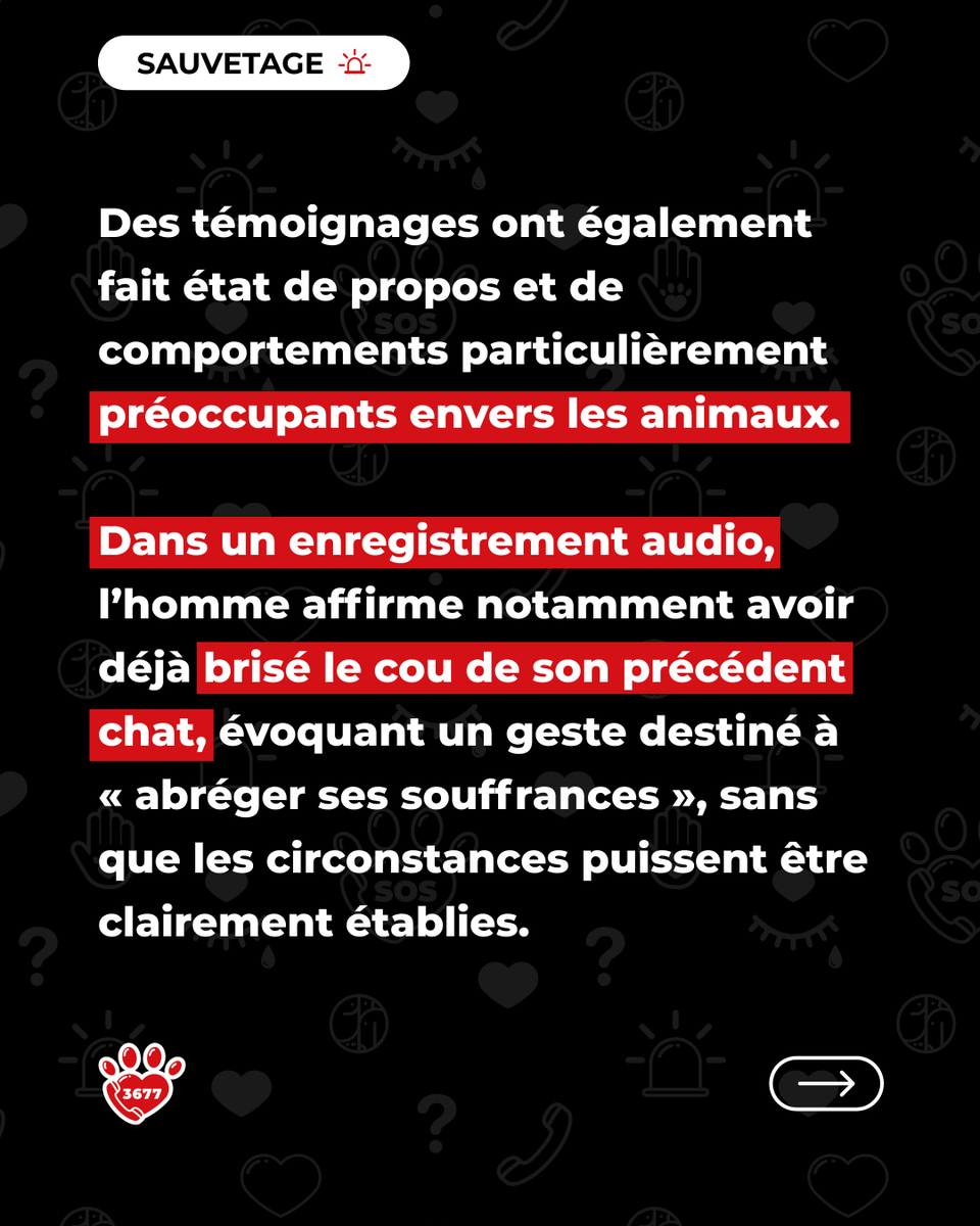 SOS Maltraitance Animale tweet media