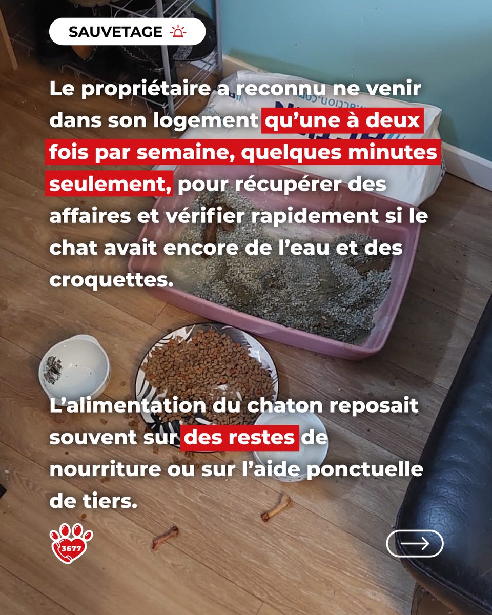 SOS Maltraitance Animale tweet media