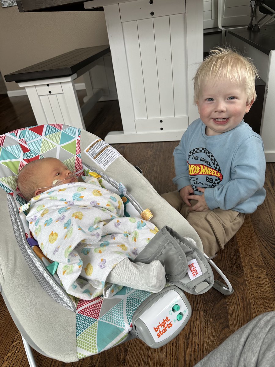 Bill Stout tweet media