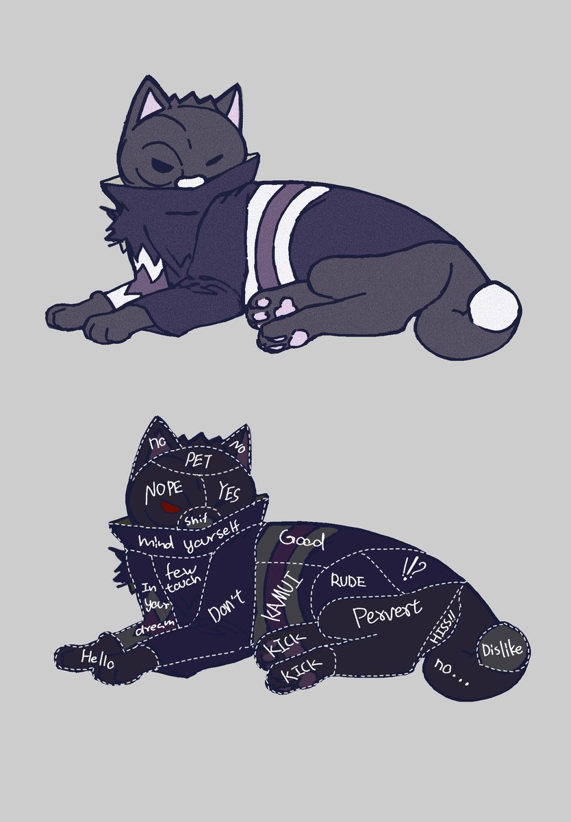 CatThatAteLeaf tweet media