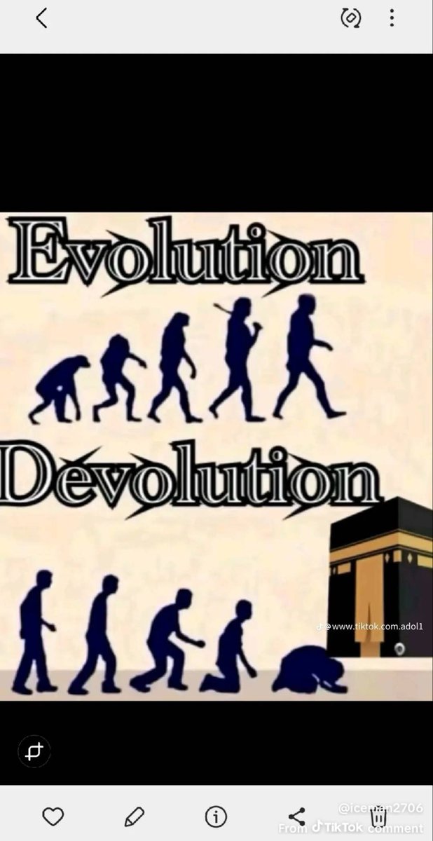 Vin2 v/d Kamp🇳🇱 tweet media