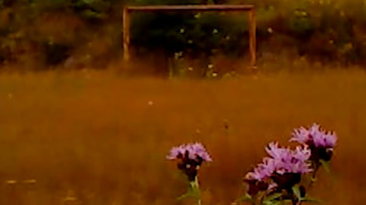 Film at Lincoln Center tweet media