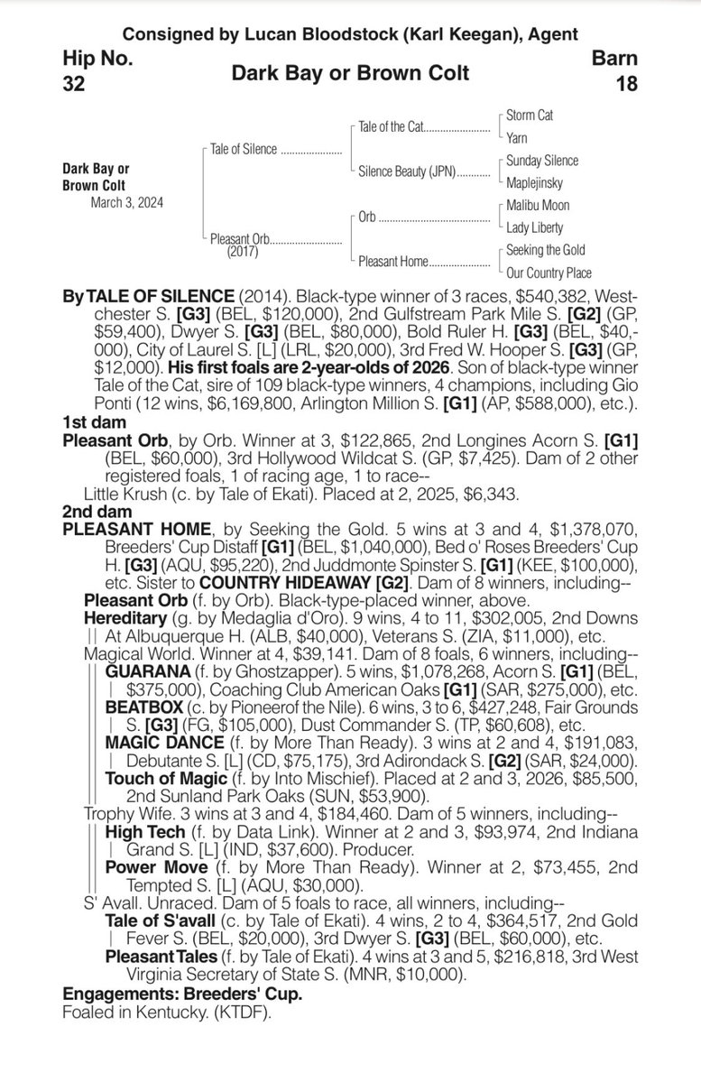 Fipke Stable tweet media