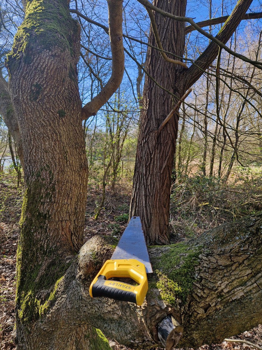 Simon011 tweet media