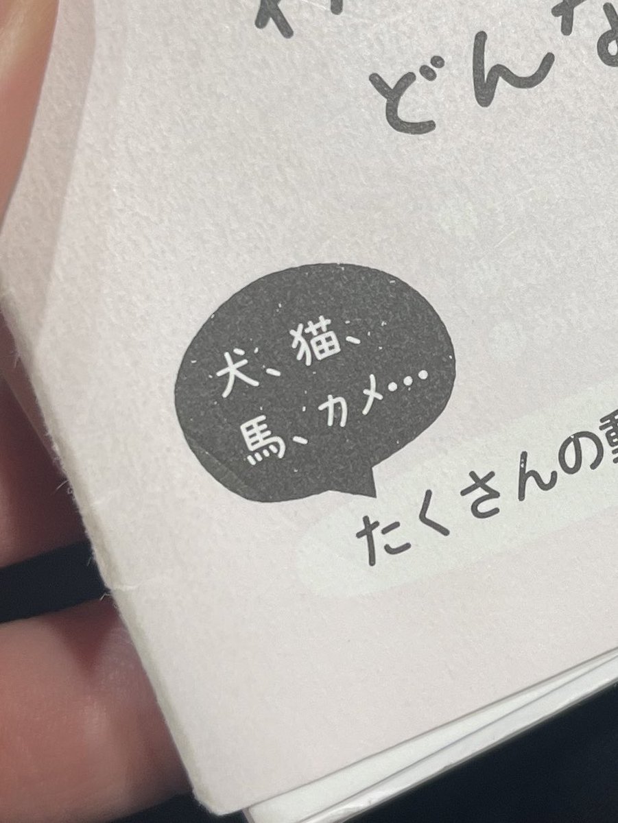 馬(デカ生き物)、カメ(チビ生き物)まで…

でもカメなんだ。ハムスターとかじゃなくて。