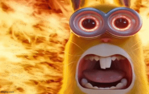 TRI { 🆓🇵🇸🍉} tweet media