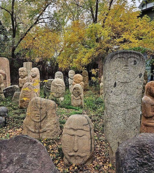 Türk'ün Dünyası tweet media