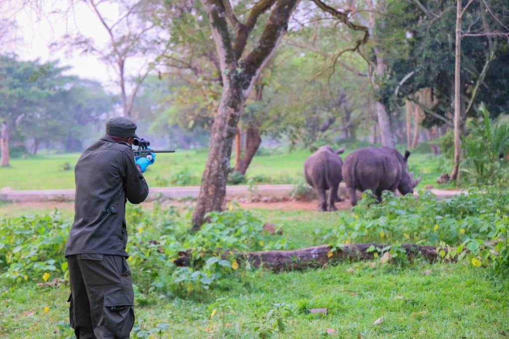 𝐼𝓋𝒶𝓃 K. ИΛMMΛИDΛ 🦍🇺🇬 tweet media
