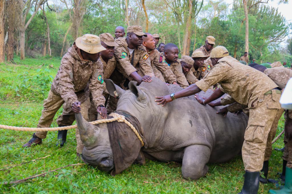 𝐼𝓋𝒶𝓃 K. ИΛMMΛИDΛ 🦍🇺🇬 tweet media