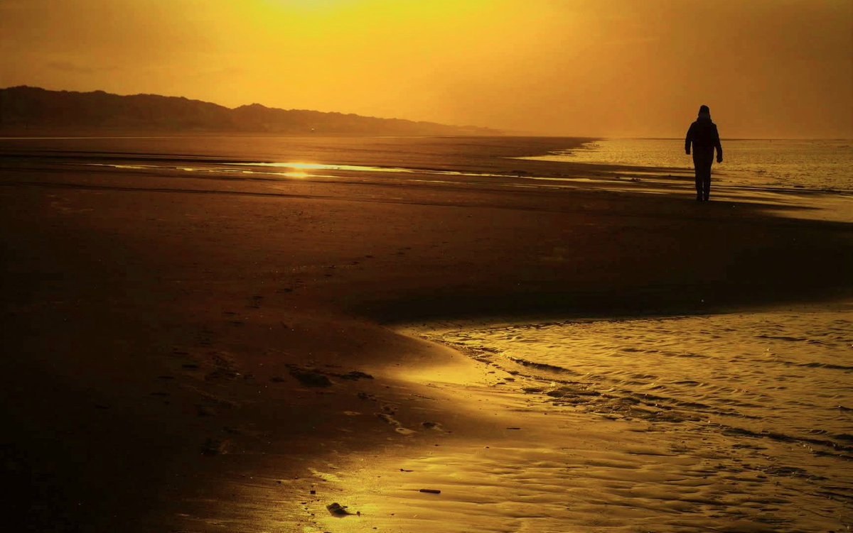 Hettie Zur Muhlen tweet media