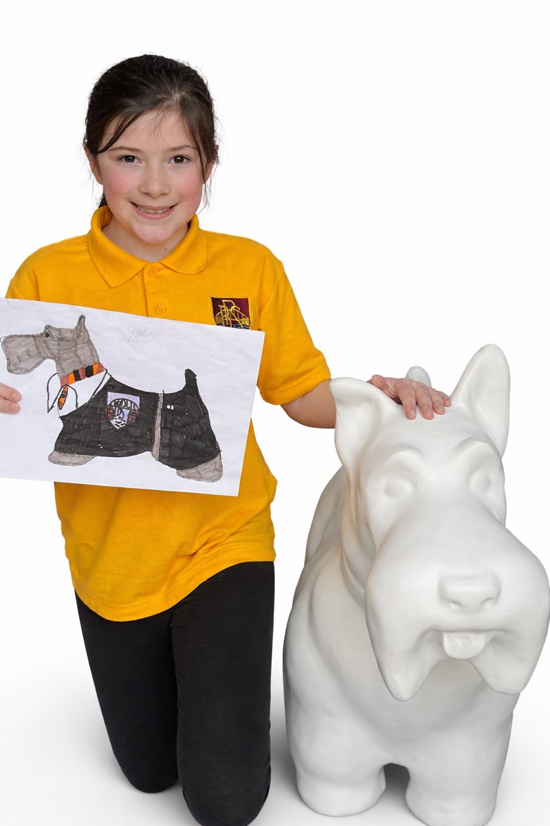 BonhillPS tweet media