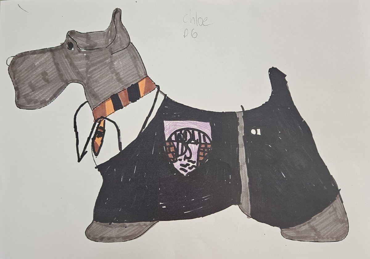 BonhillPS tweet media