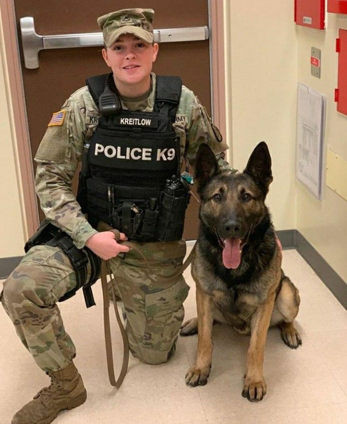 Tweets of Dogs tweet media