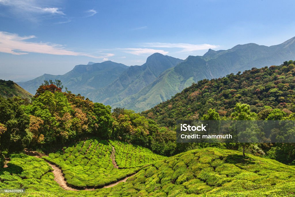 Johnny Storm tweet media