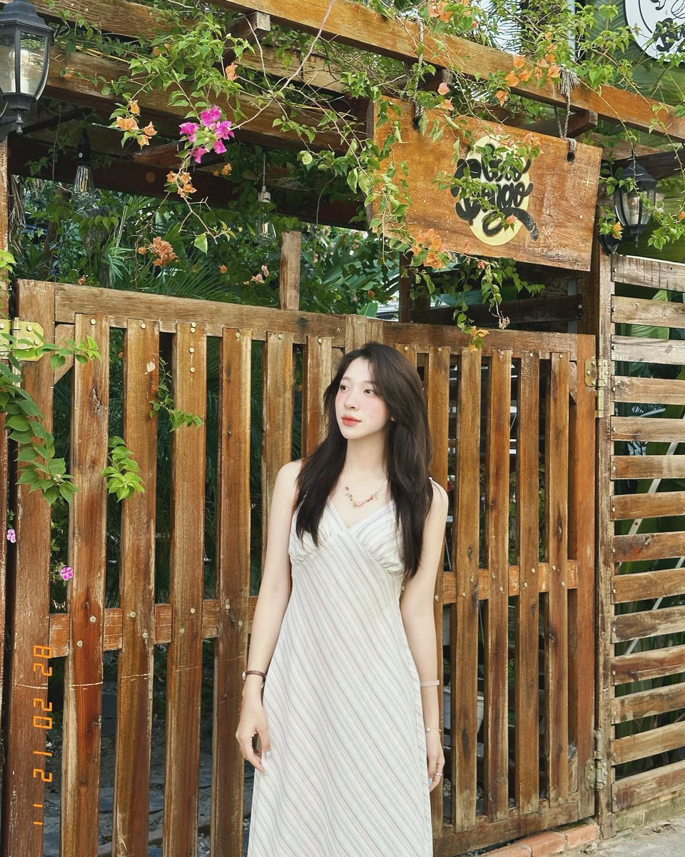 Steven Ng tweet media