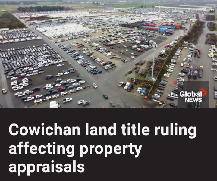 Elenore Sturko tweet media