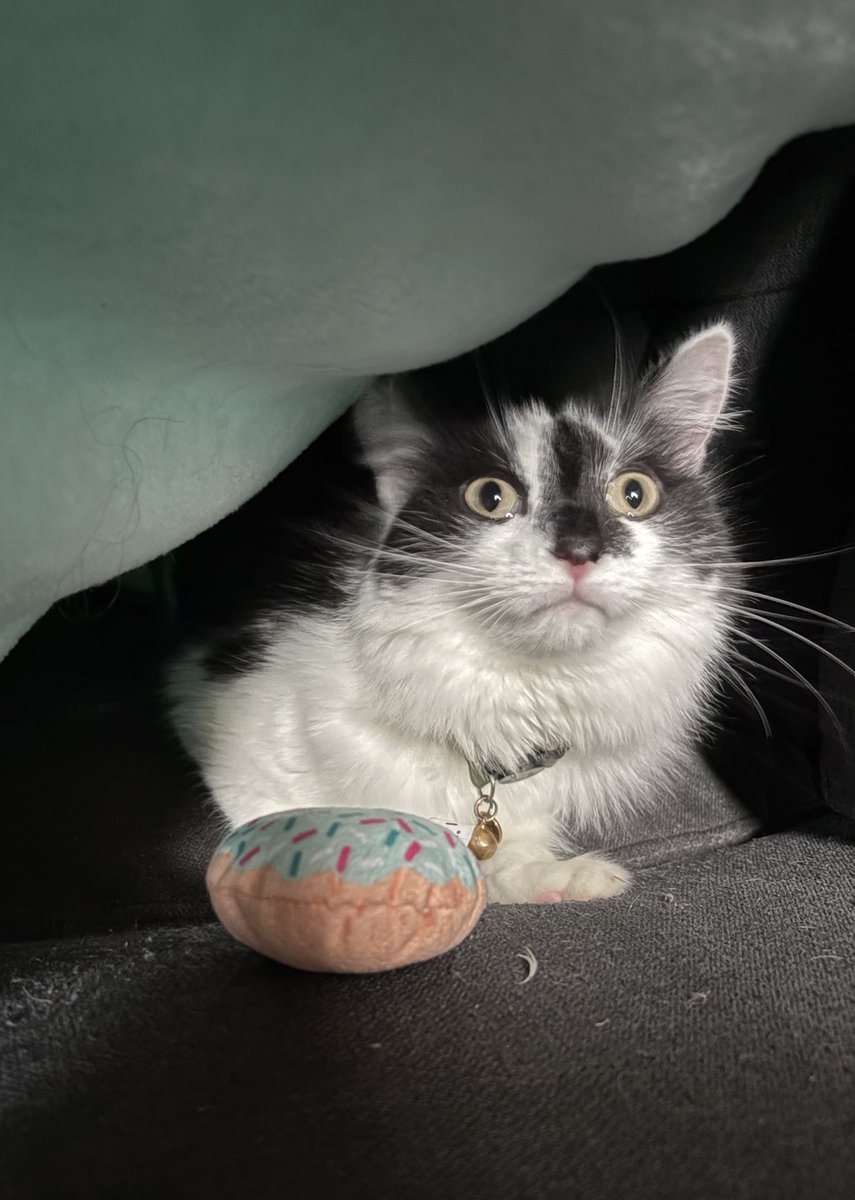 Blake ™ tweet media