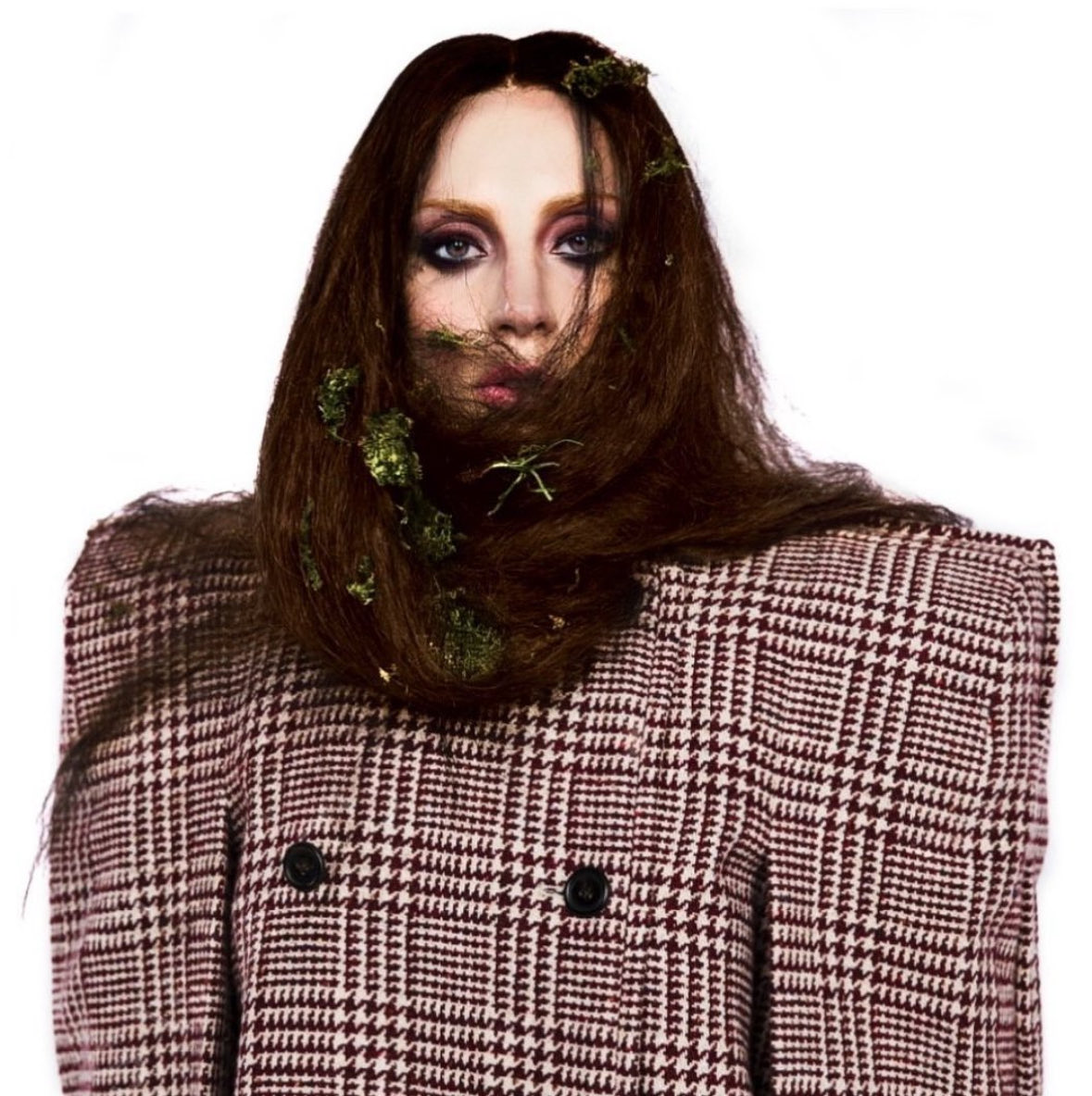 ARTPOP ACT II tweet media