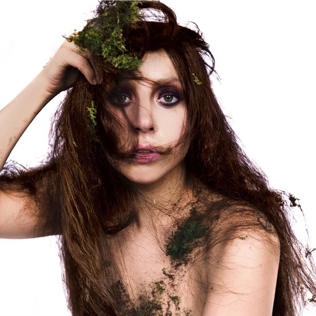 ARTPOP ACT II tweet media