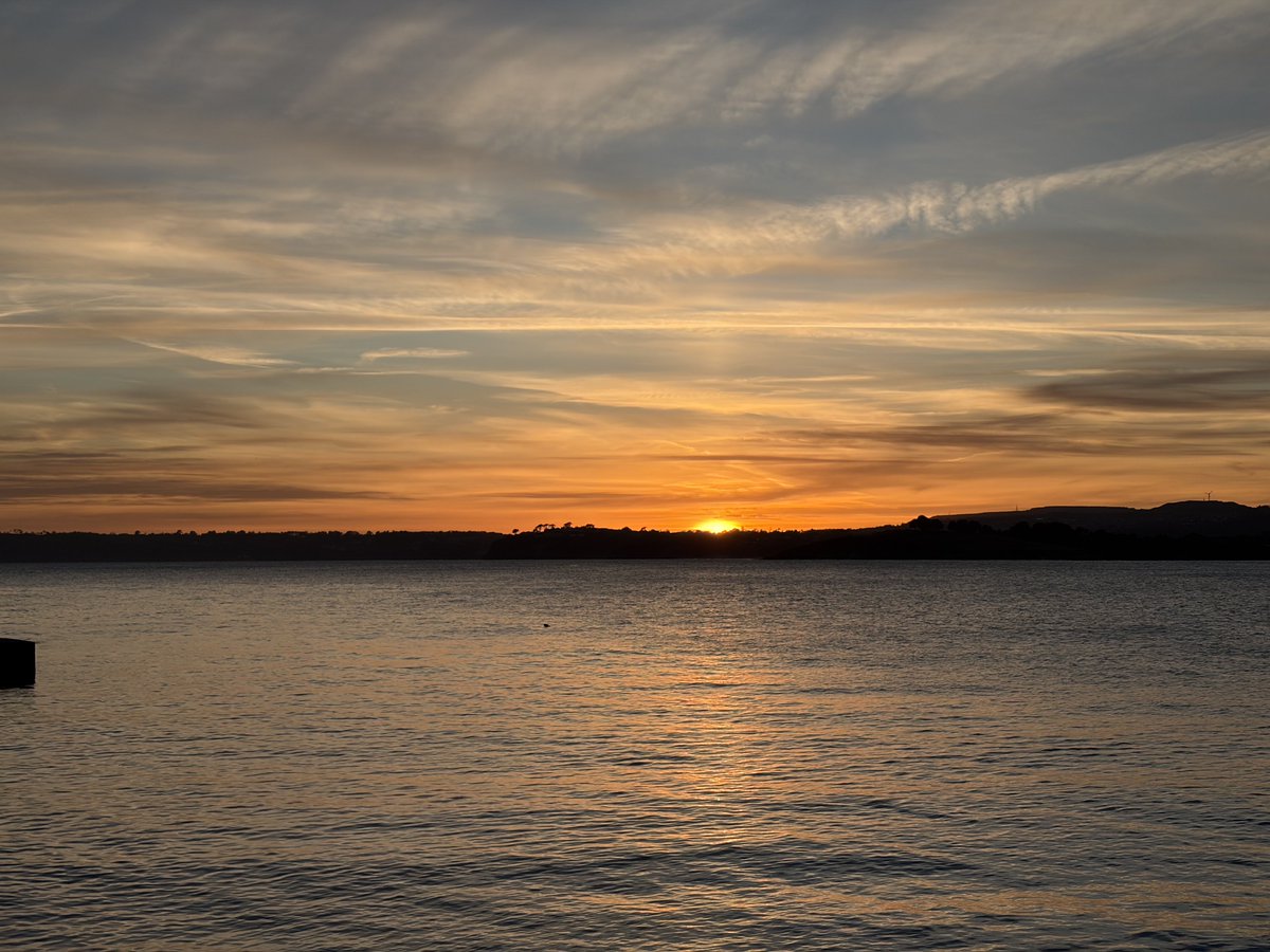 Pat 🐝 tweet media