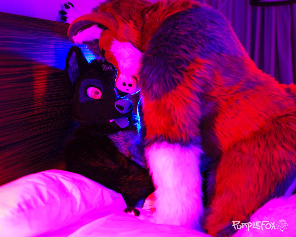 Tyler Wusky tweet media