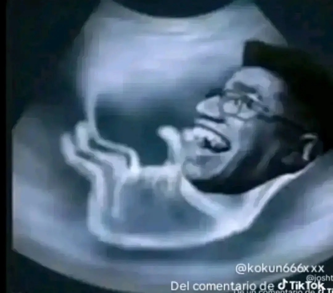 PandaGod tweet media