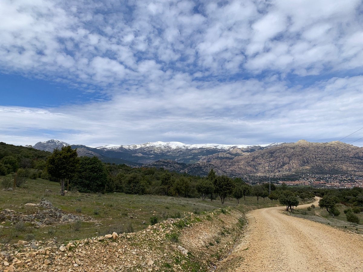 Gabriela tweet media