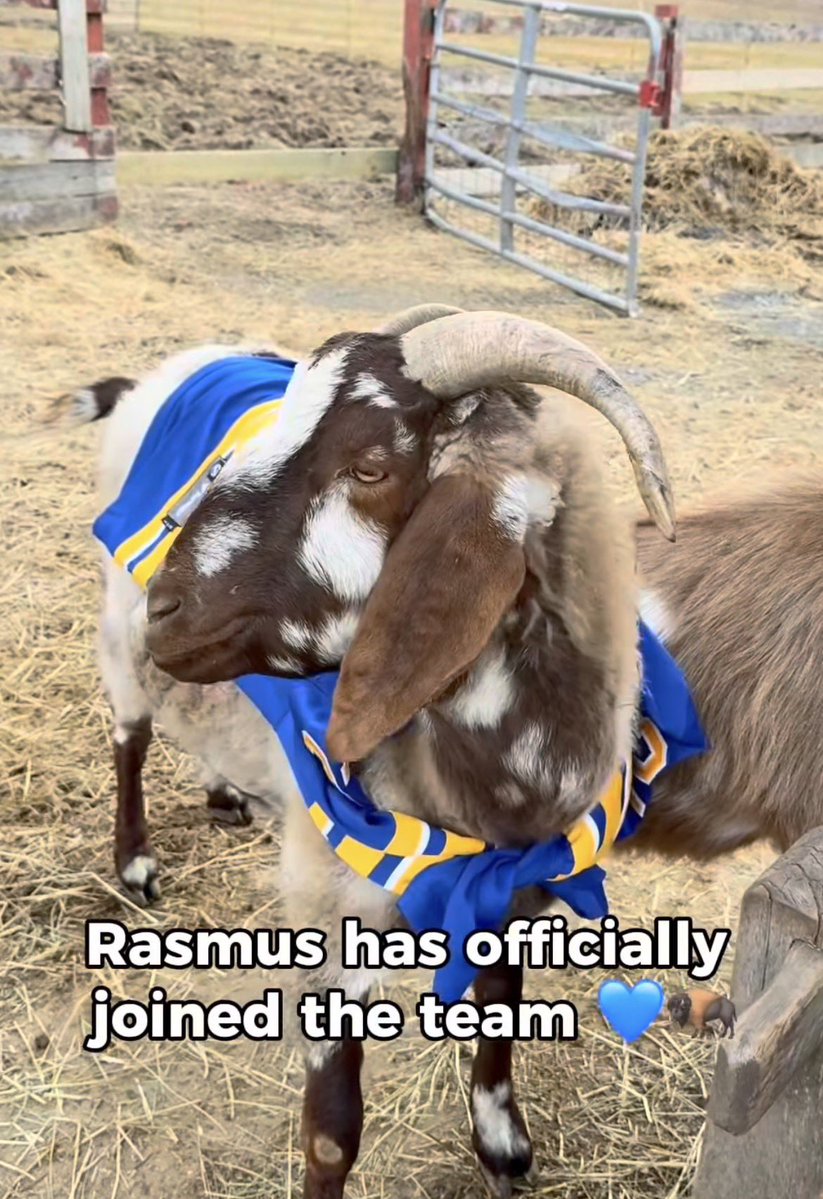 sabresource tweet media