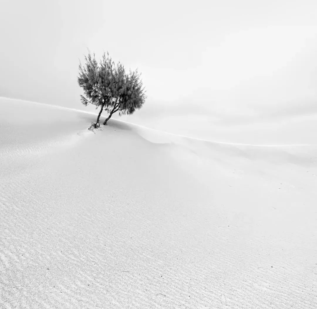 Om Prakash Singh tweet media