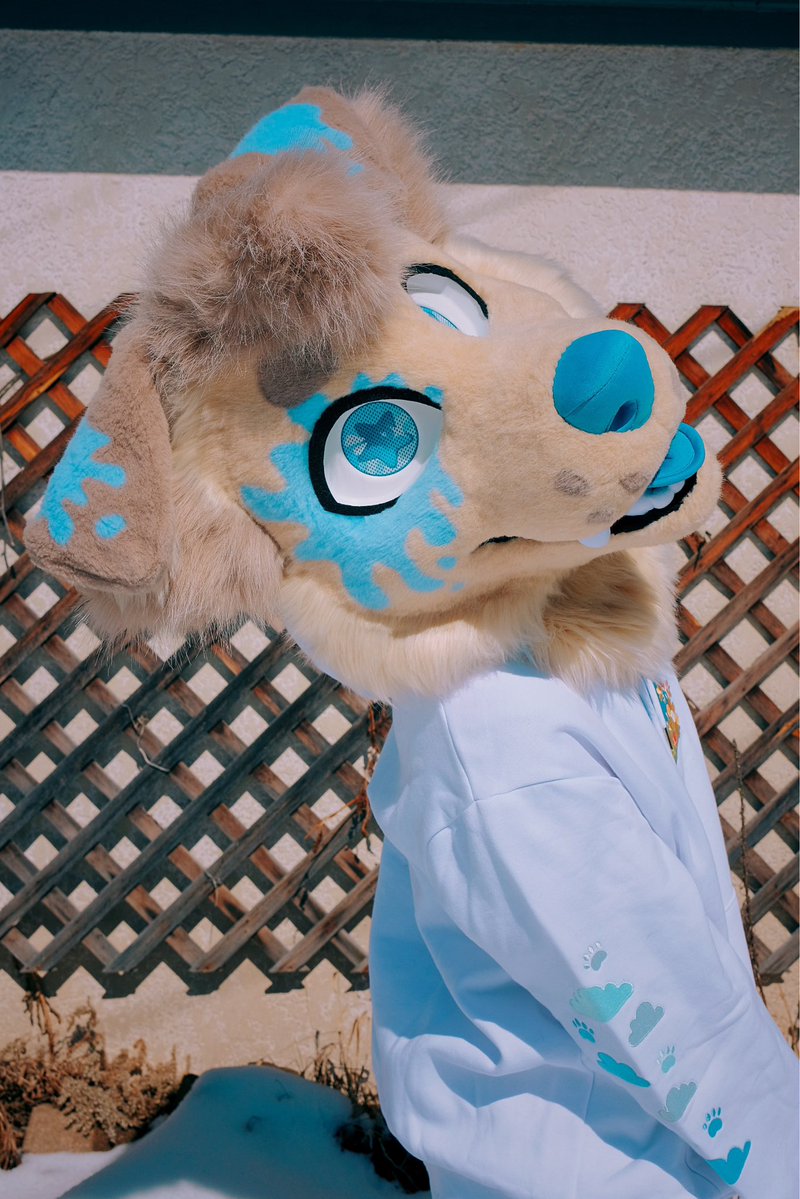 GNAW ‼️ tweet media