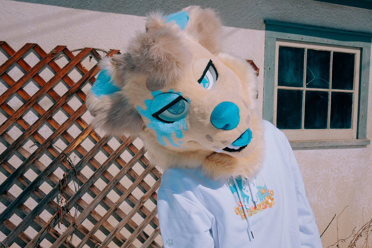 GNAW ‼️ tweet media