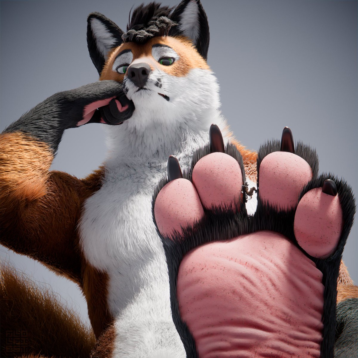 Efner 🔜 TFF tweet media