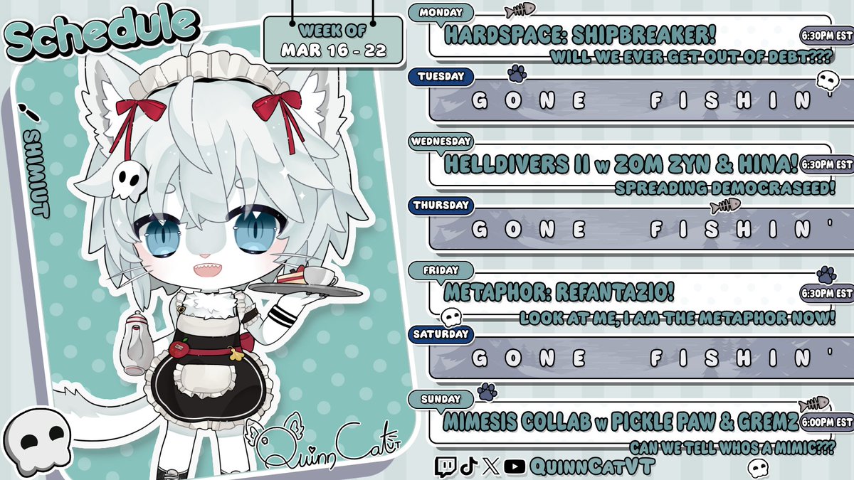 Quinn Cat VT tweet media