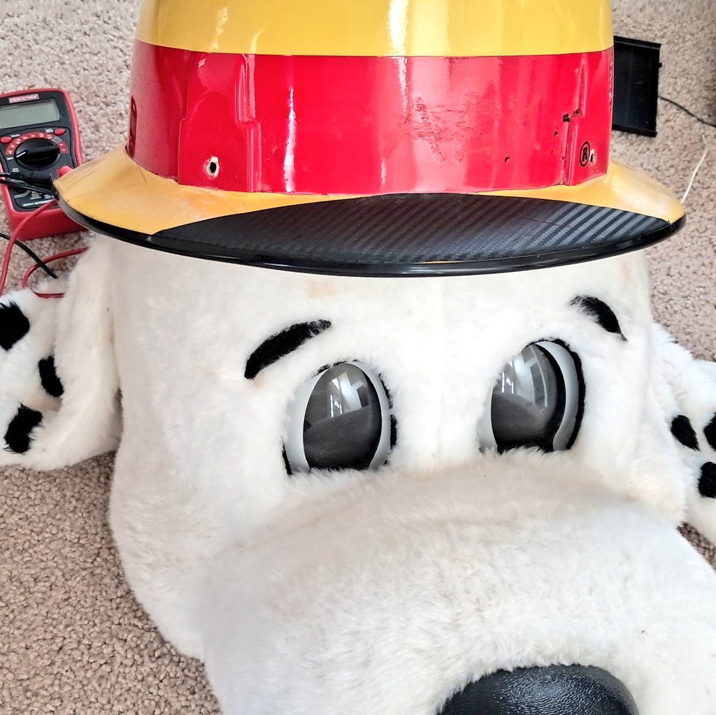 John Wallaby tweet media