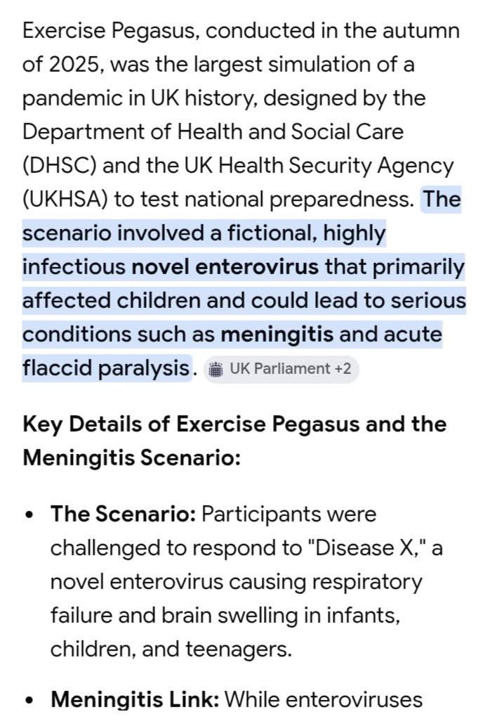 Mrs Fox 🕊️ tweet media