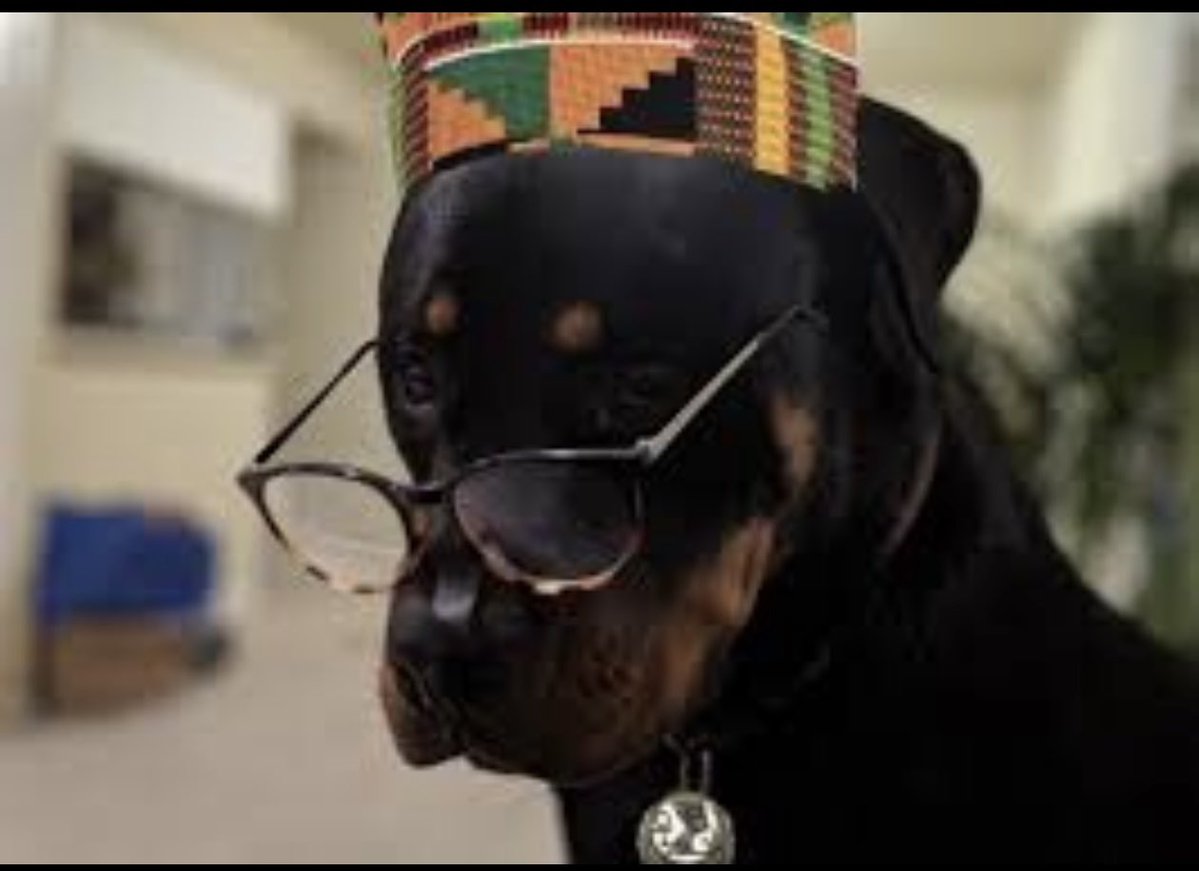 Terms & Conditions tweet media