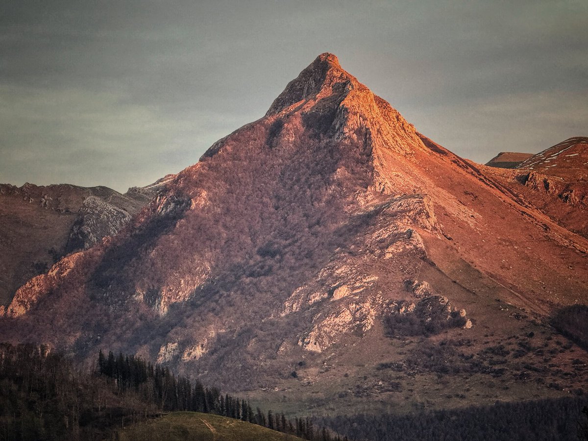 Xabi Smithy Mujika tweet media