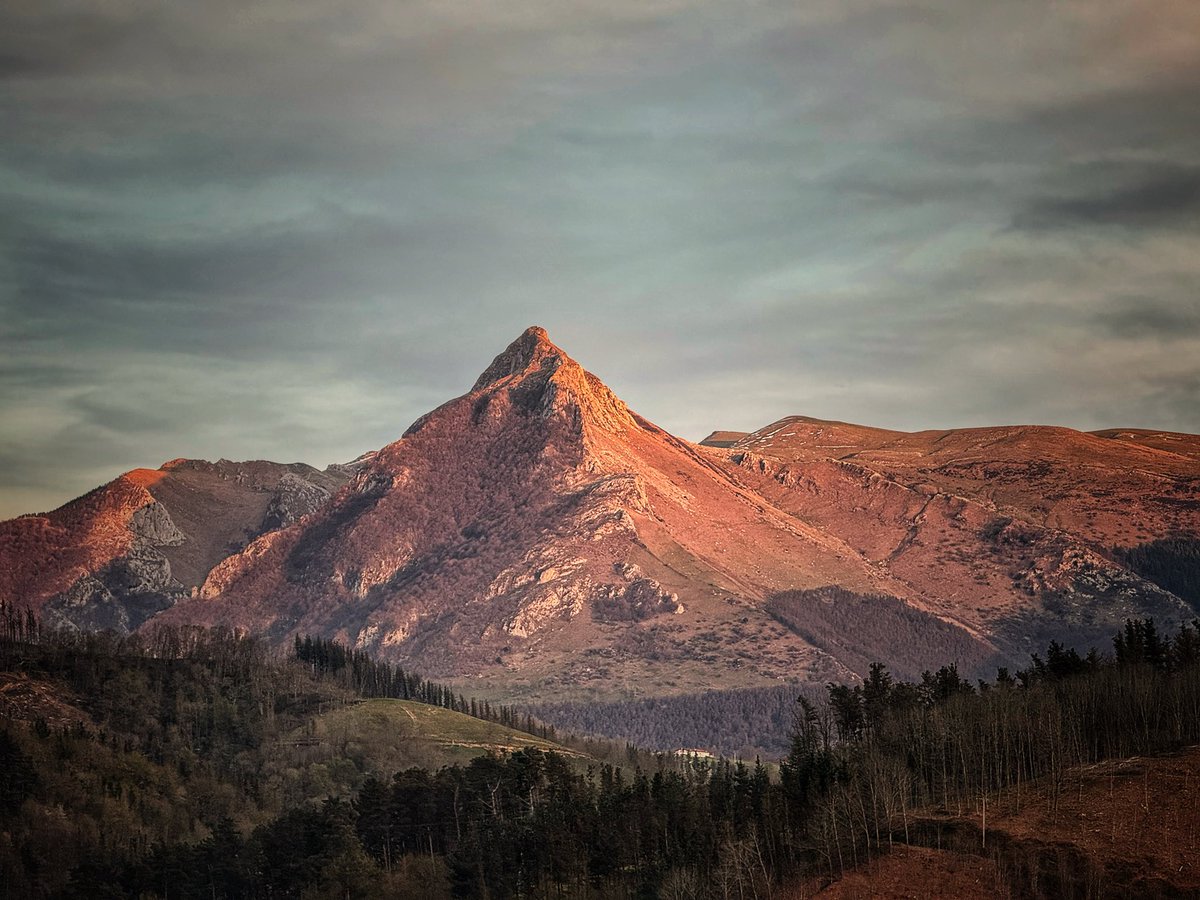 Xabi Smithy Mujika tweet media