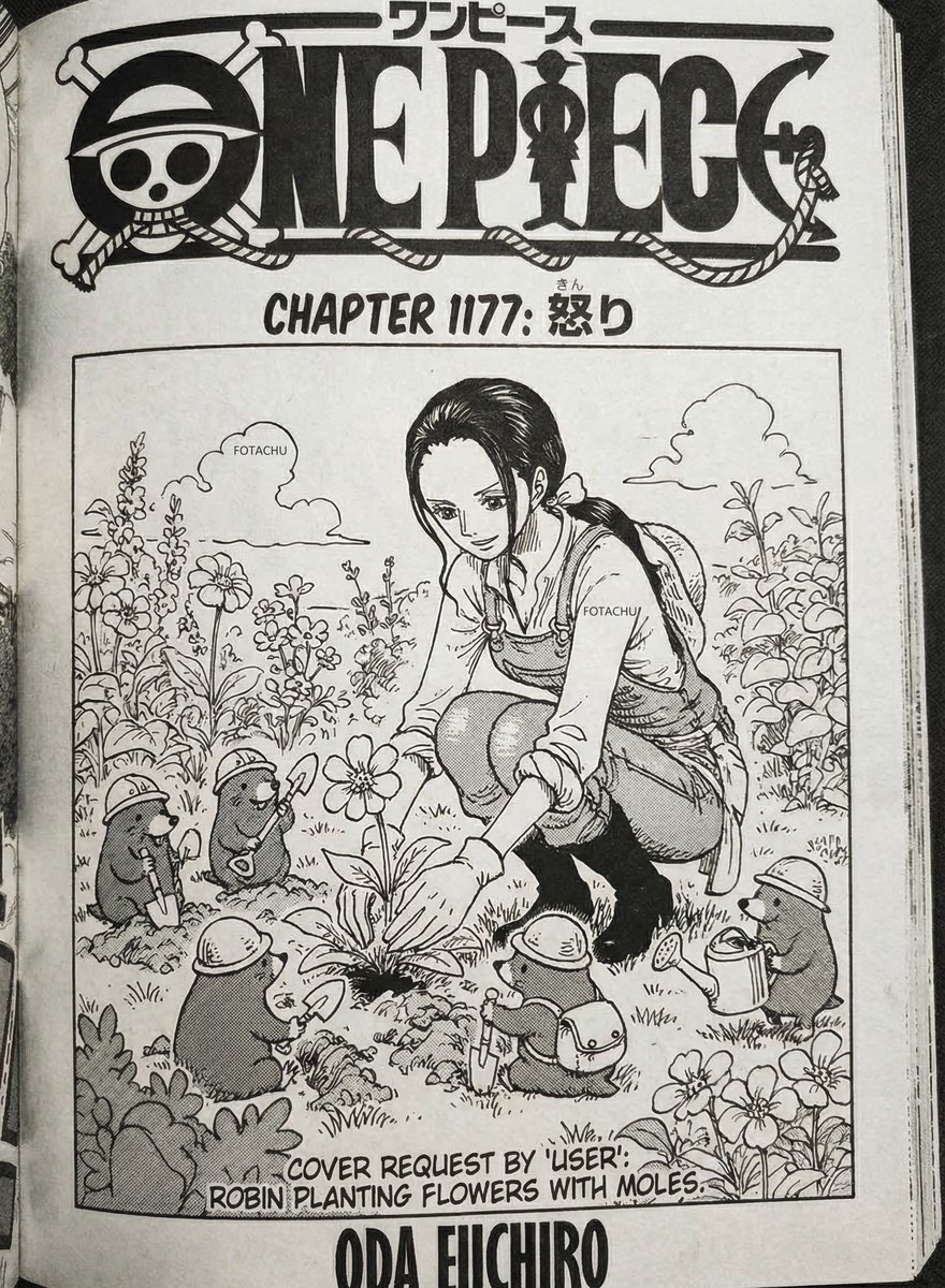 Fotachu - AR GUY tweet media