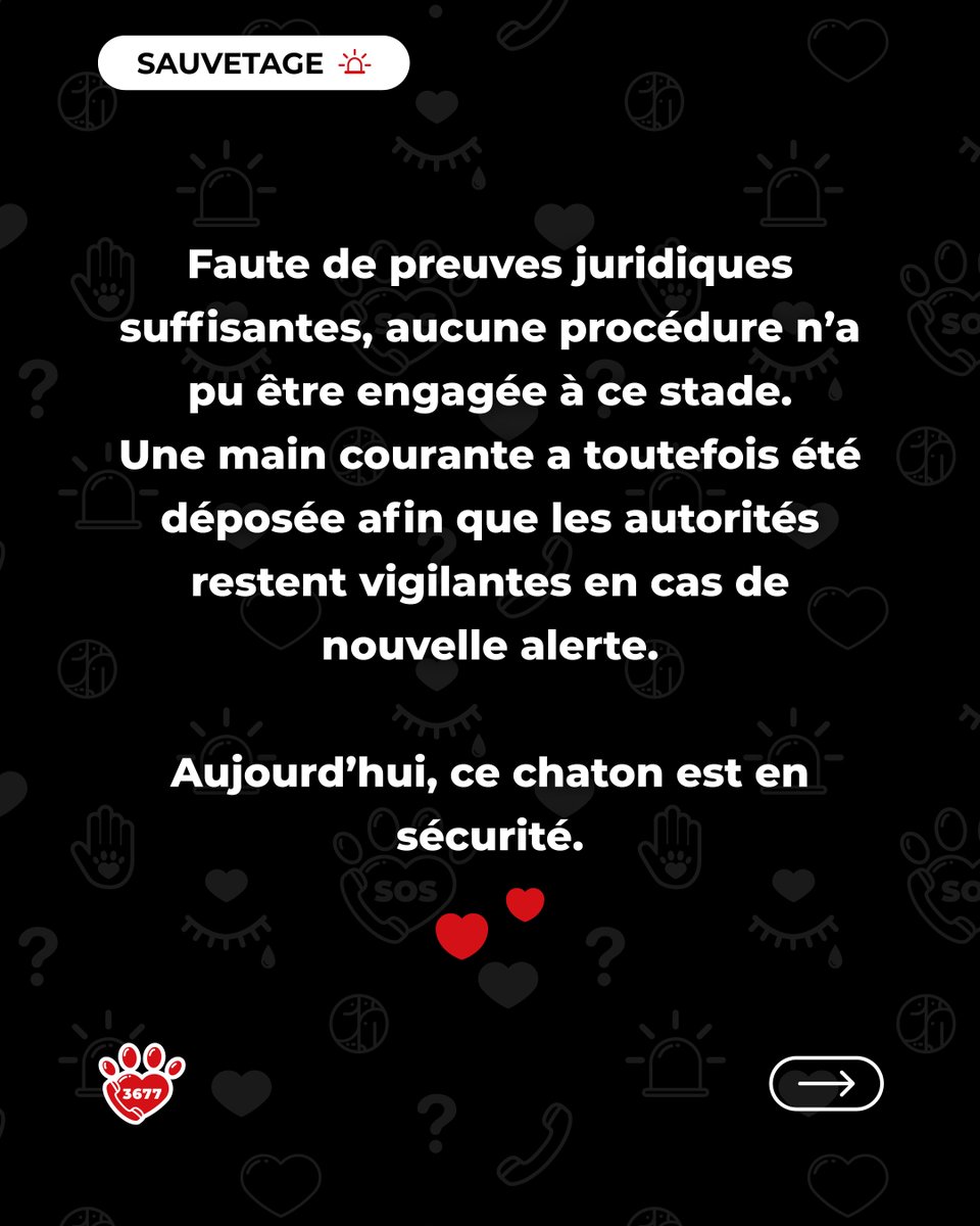 SOS Maltraitance Animale tweet media