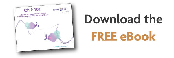 Active Motif tweet media