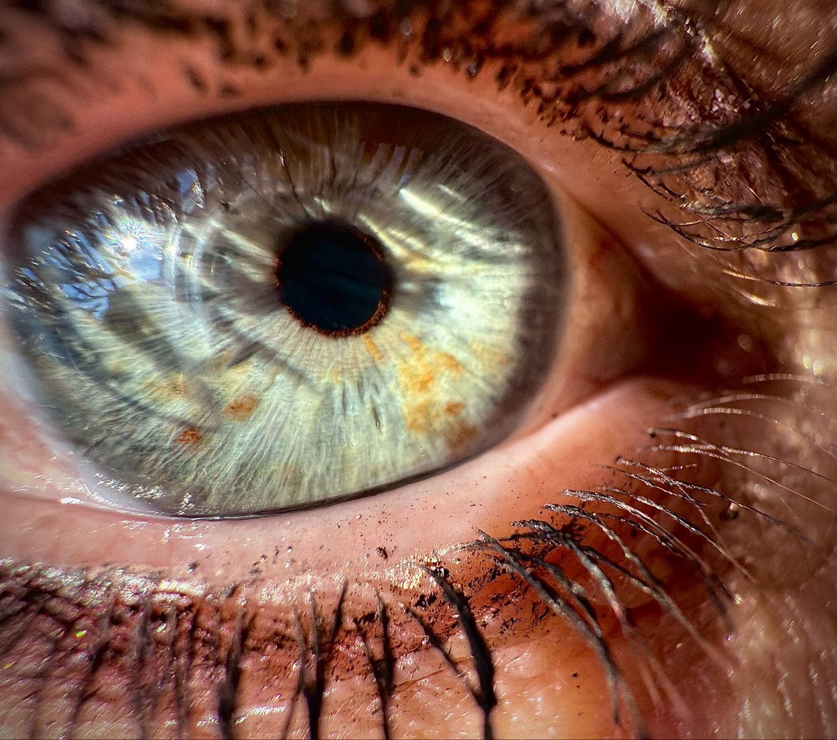 PC Philanthropy tweet media