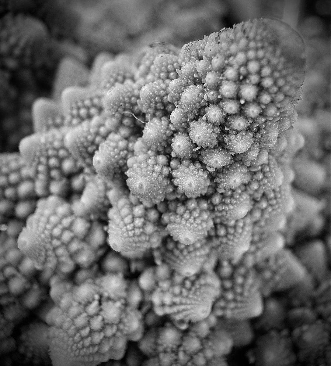 PC Philanthropy tweet media