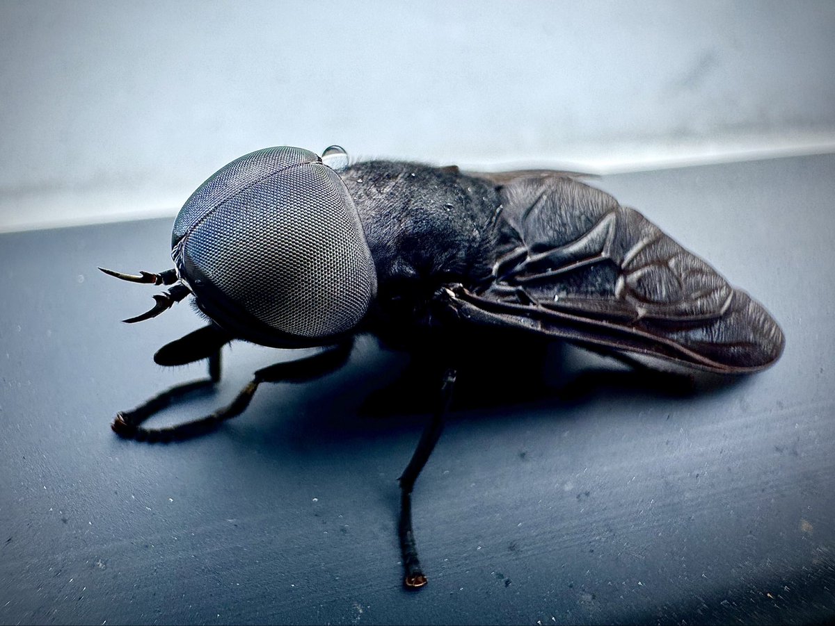 PC Philanthropy tweet media